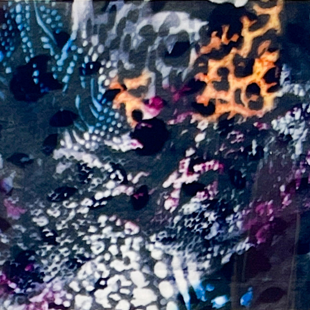 MM - "57-04 Through the Night" - - Nail Transfer Foil