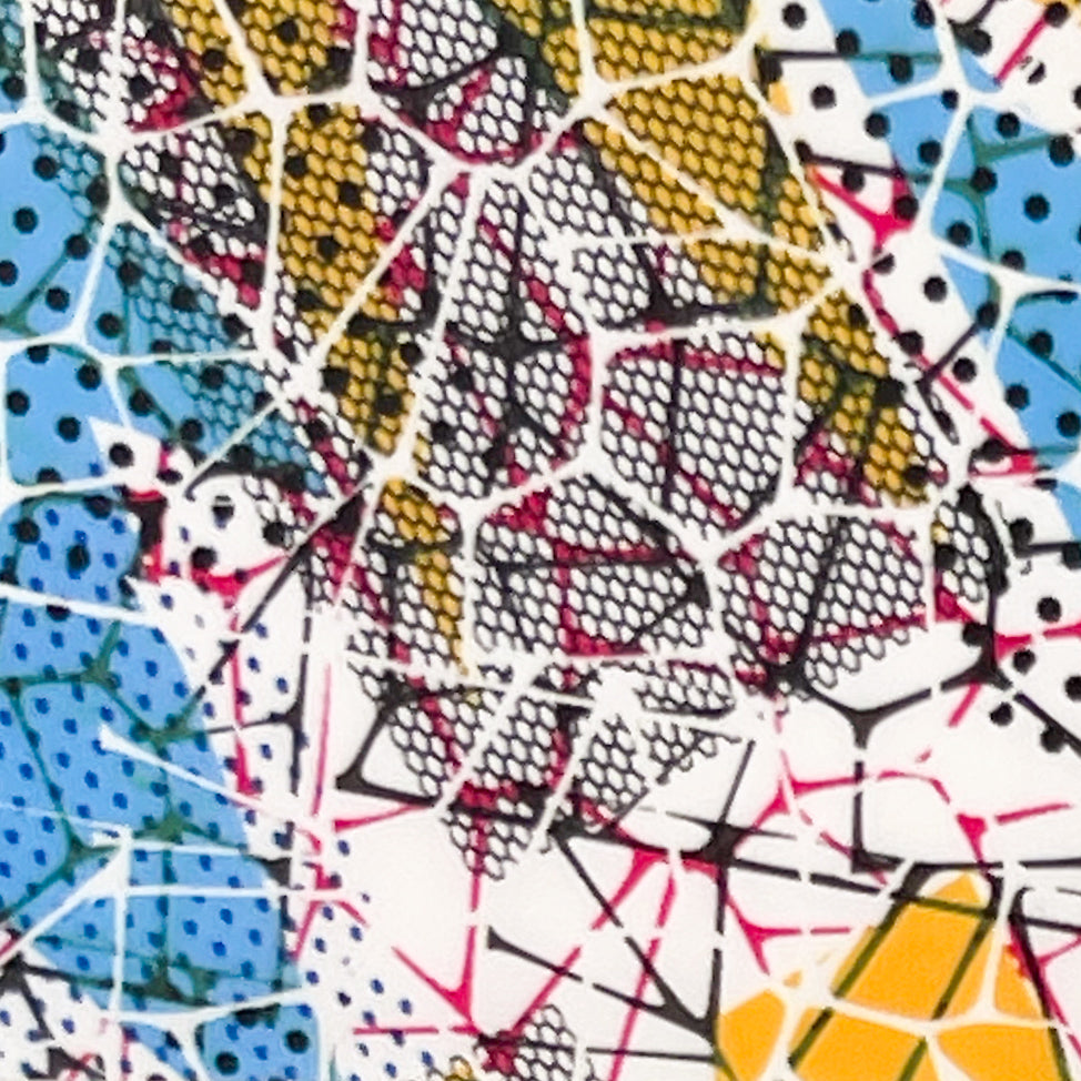 57-07 Space Lace -- Nail Transfer Foil