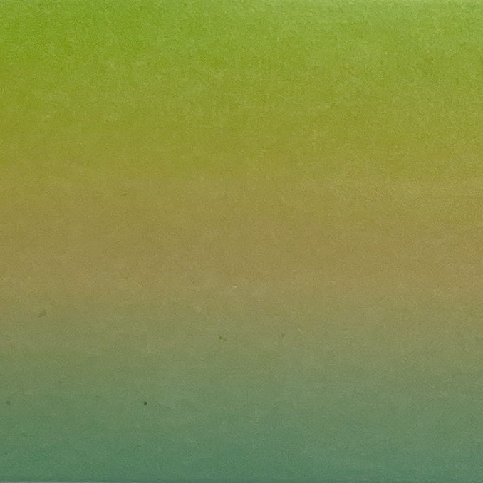 06-07 Avocadorable -- Nail Transfer Foil