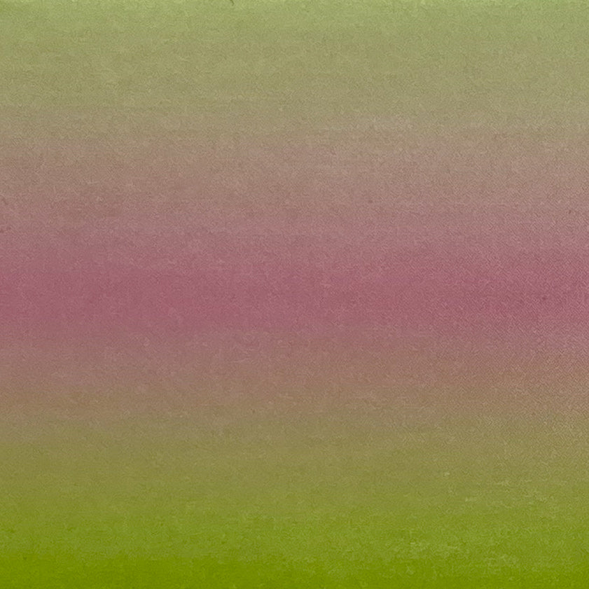 06-10 Tutti Frutti -- Nail Transfer Foil