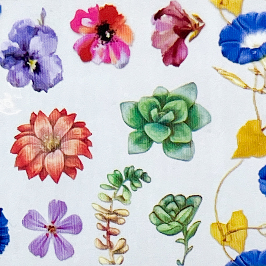 MM - "26-06 Morning Walk" -- Nail Transfer Foil