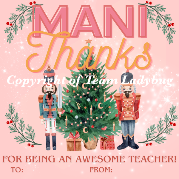 Teacher/Nurse/or Co-worker Appreciation Gift
