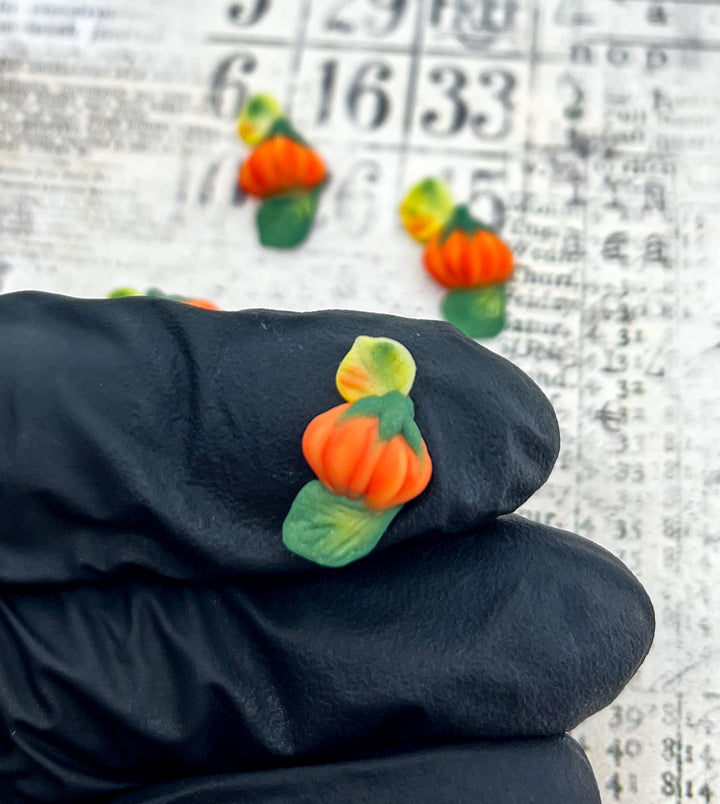 Heirloom Orange Pumpkin - Fall 3D Embellishments