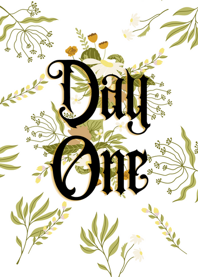 Day One - A Want of Prop'r Revelry