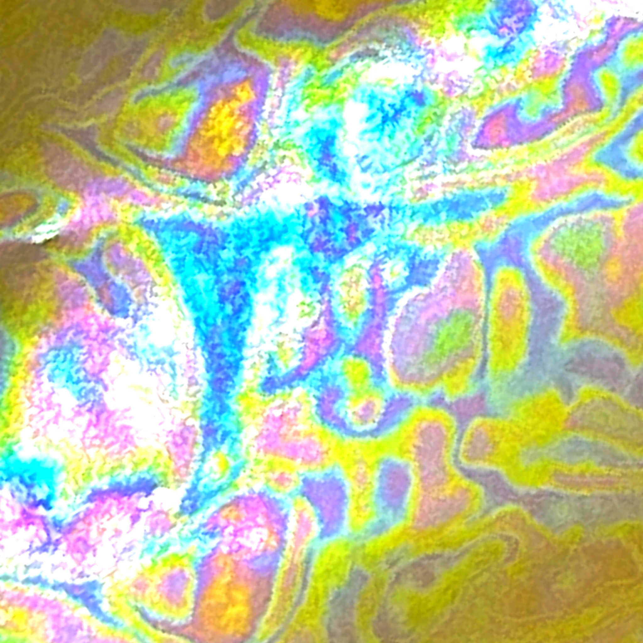 Pre-Filled Clear Holographic Foil Binder