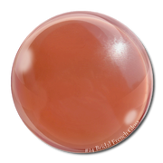 #24 Bridal French Gloss -- Eye Candy Gel Polish: Fall