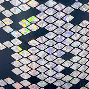 MM - "67-02 Disco Danger Noodle" - - Nail Transfer Foil