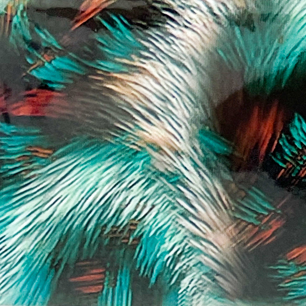 MM - "53-10 It’s a Jungle Out There" - - Nail Transfer Foil