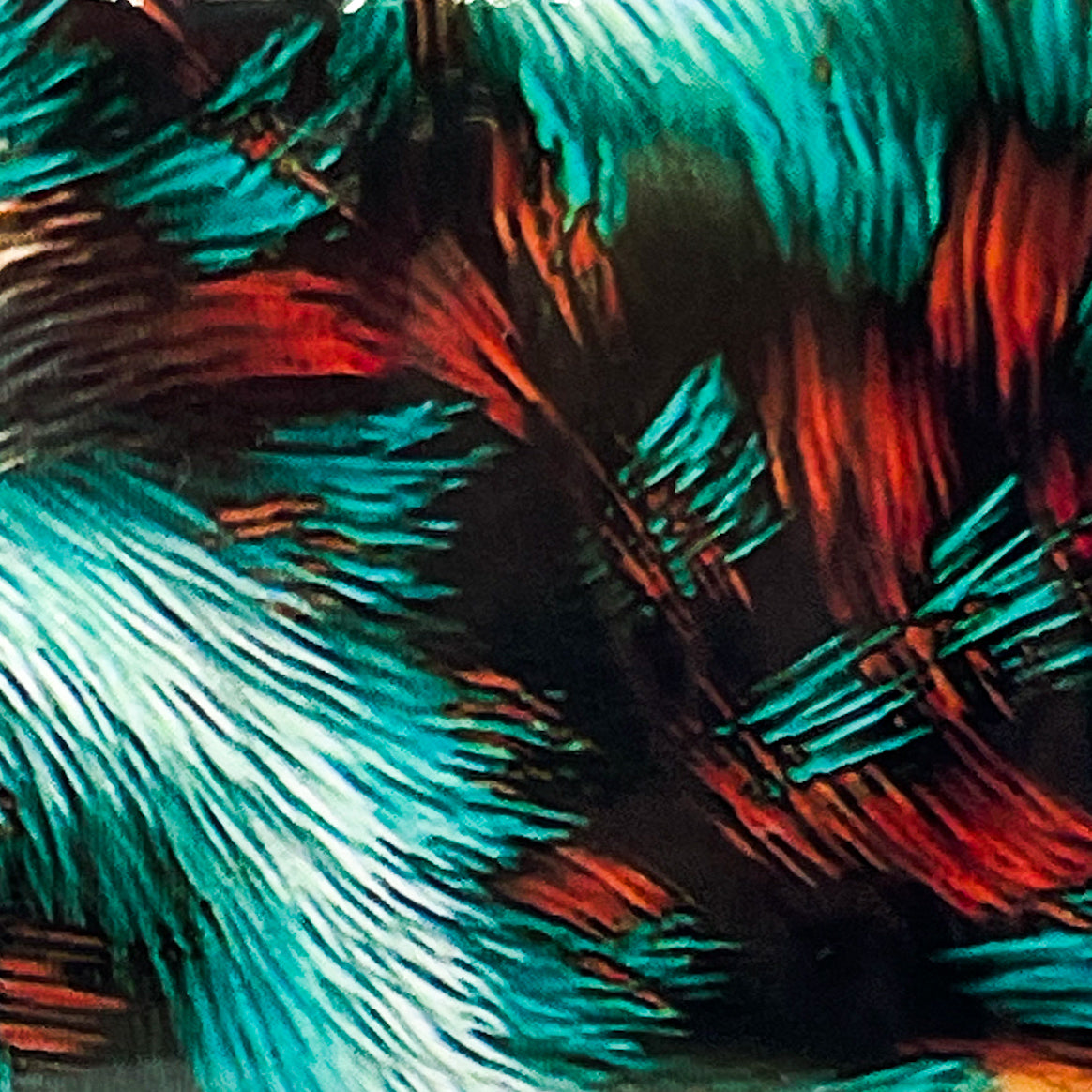 MM - "53-10 It’s a Jungle Out There" - - Nail Transfer Foil