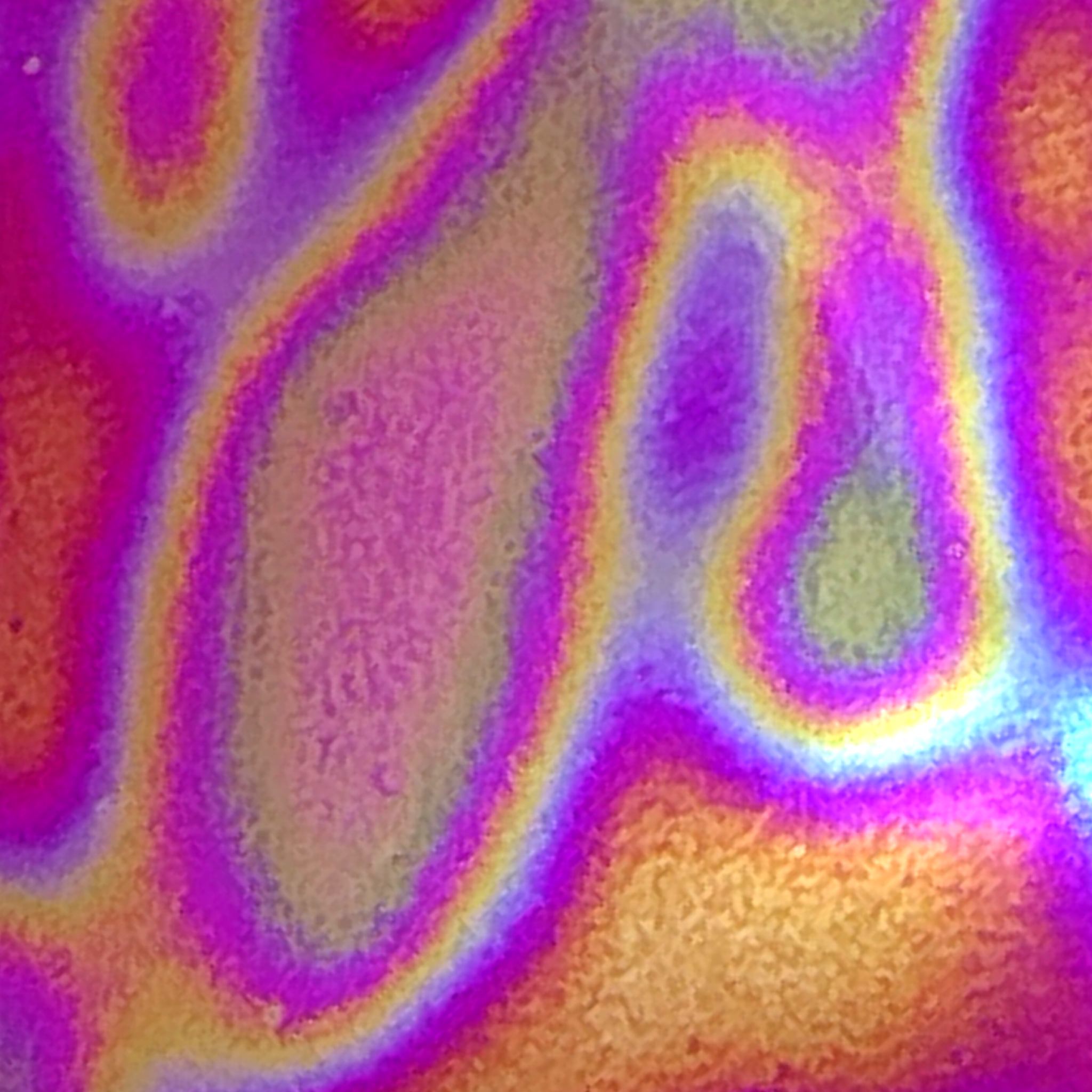 Pre-Filled Clear Holographic Foil Binder