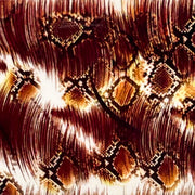 “59-04 Moos & Hisses" - - Nail Transfer Foil