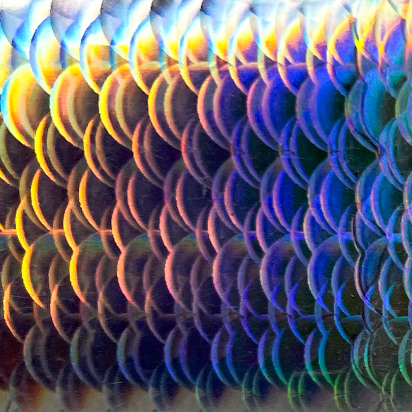 MM - "61-02 Mermaid Tales Holo Foil" -- Nail Transfer Foil