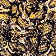 MM - "51-07 Yellow Vipers" - - Nail Transfer Foil