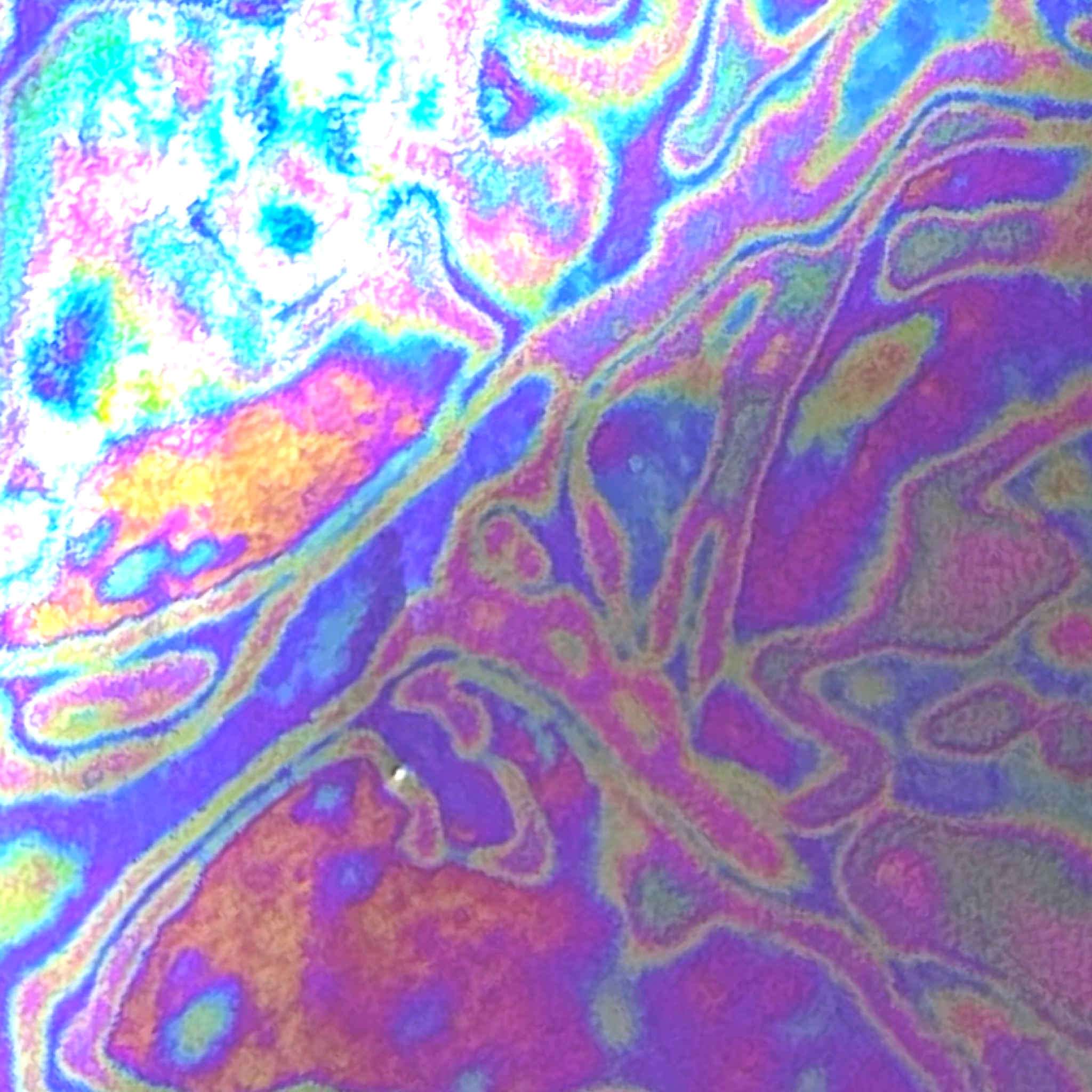 Pre-Filled Clear Holographic Foil Binder