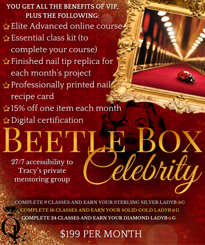 Beetle Box Subscription