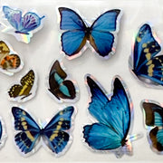 MM - "52-06 Blue Butterfly Day" - - Nail Transfer Foil