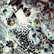 “59-09 Subtle Slither" - - Nail Transfer Foil