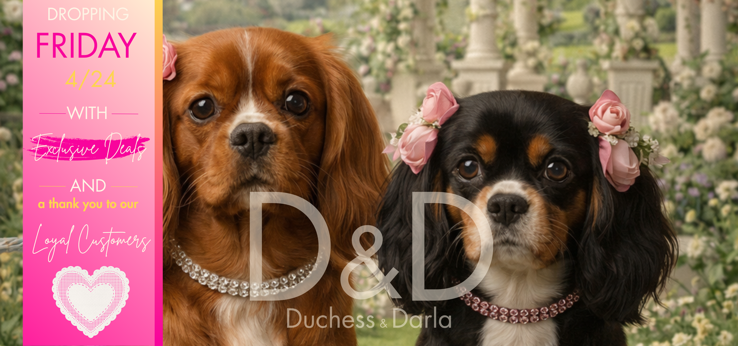 The Mobile Manicurist Nail Boutique