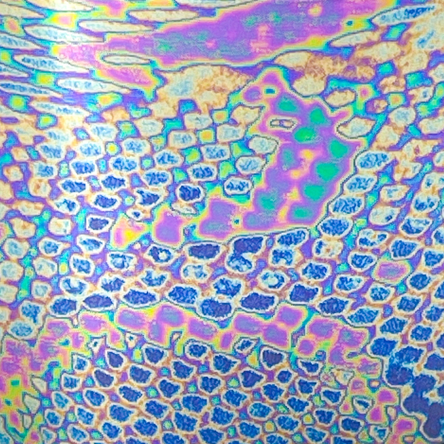 MM - "64-04 Slither Me Timbers" - - Nail Transfer Foil