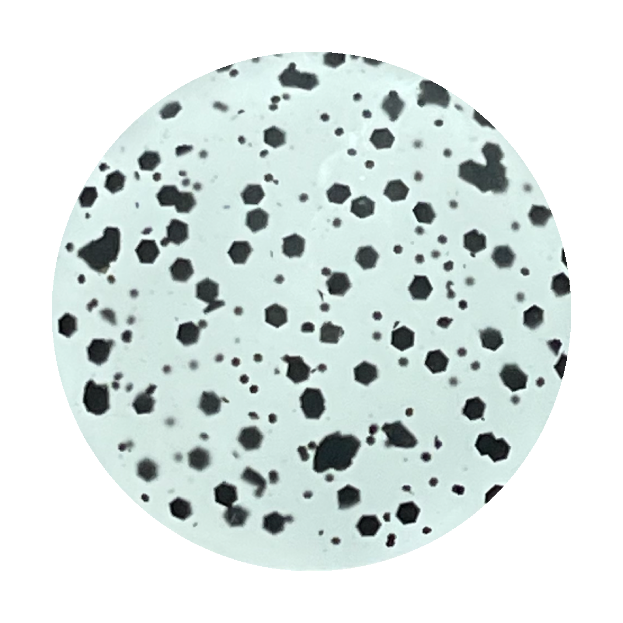 MATTE "Royal Babybug" -- Matte Hollywood Top Gel