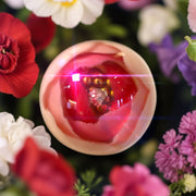 Candy Ball Roses Bundle