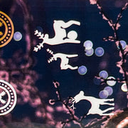 01-06 Winter's Night -- Nail Transfer Foil