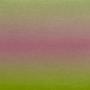 06-10 Tutti Frutti -- Nail Transfer Foil