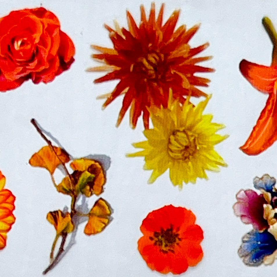 MM - "30-06 Penny Lane" -- Nail Transfer Foil