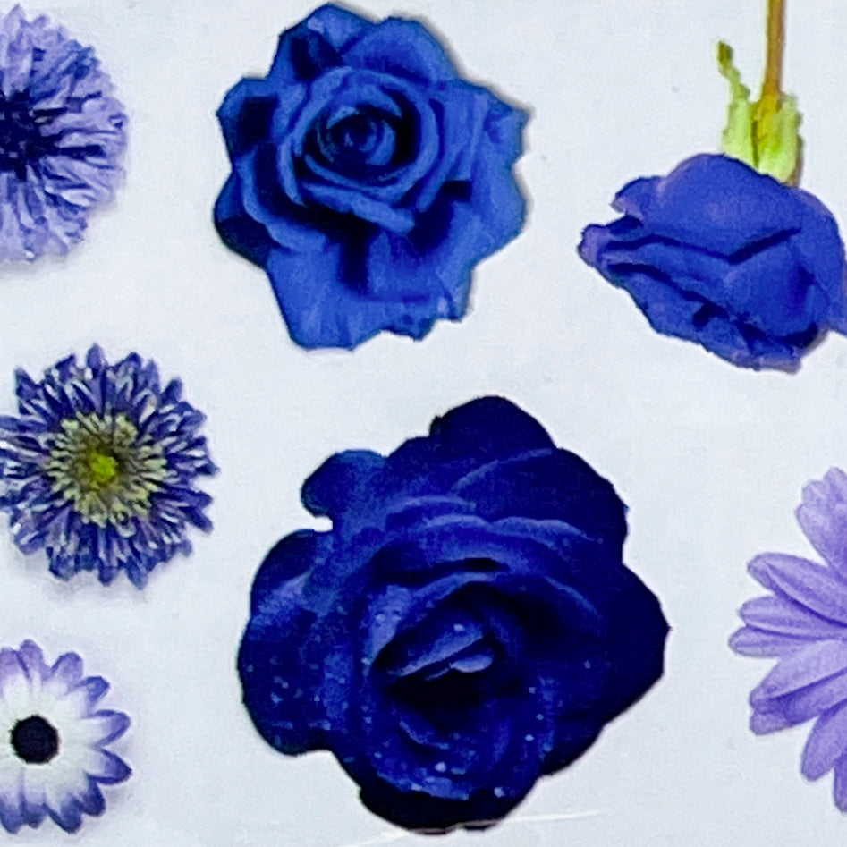 MM - "30-08 Indigo Garden" -- Nail Transfer Foil