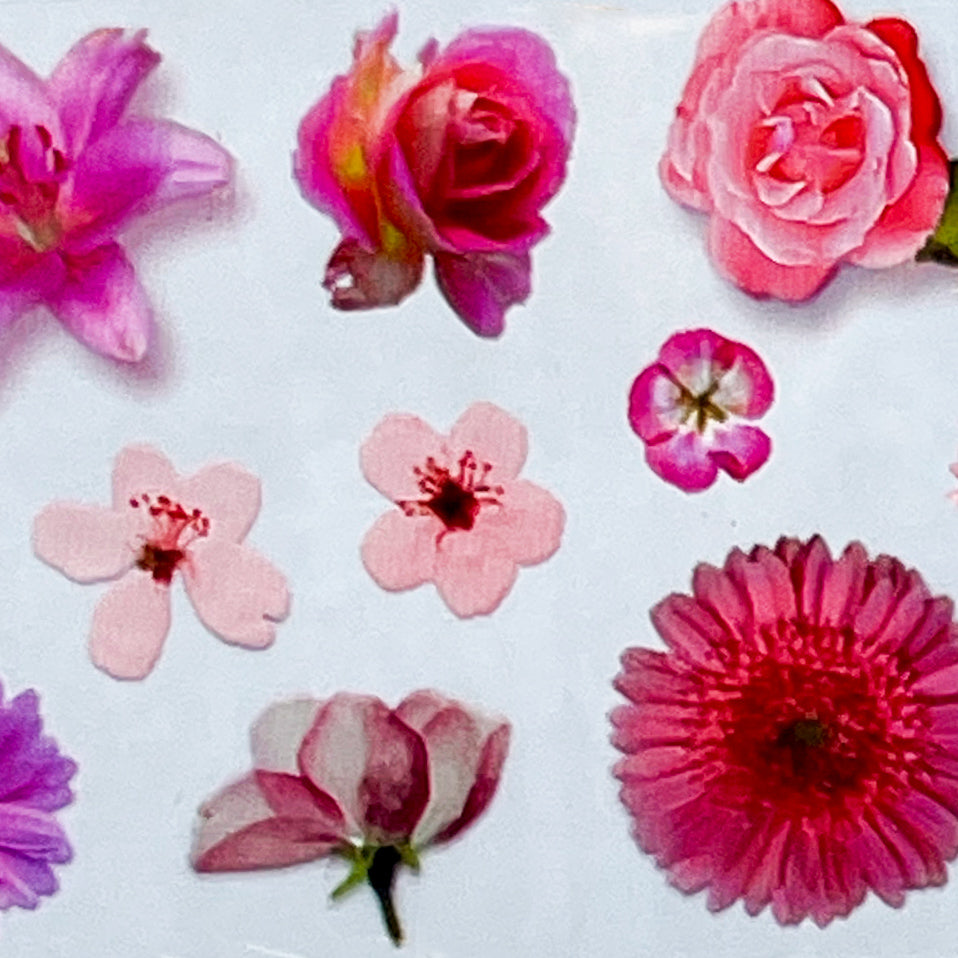 MM - "30-03 Planting Joy" -- Nail Transfer Foil