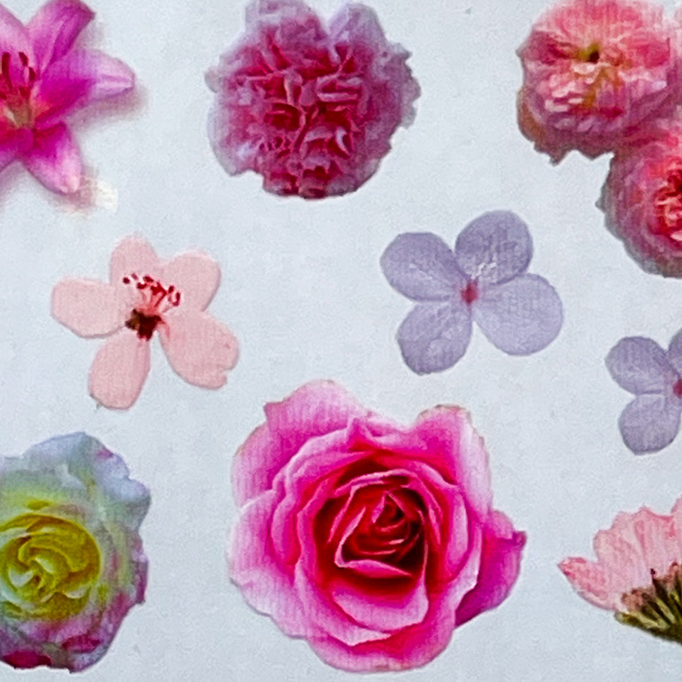 MM - "30-03 Planting Joy" -- Nail Transfer Foil