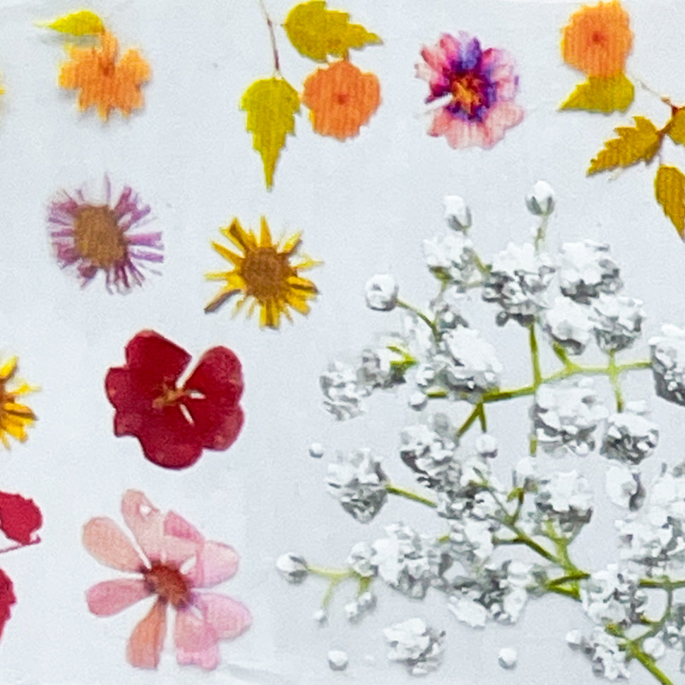 MM - "26-10 Pressed Flowers" -- Nail Transfer Foil