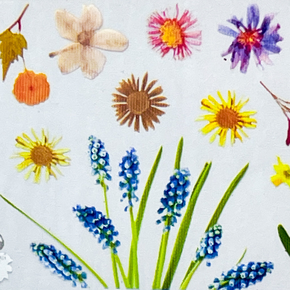 MM - "26-10 Pressed Flowers" -- Nail Transfer Foil