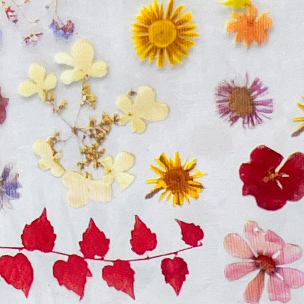 MM - "26-10 Pressed Flowers" -- Nail Transfer Foil