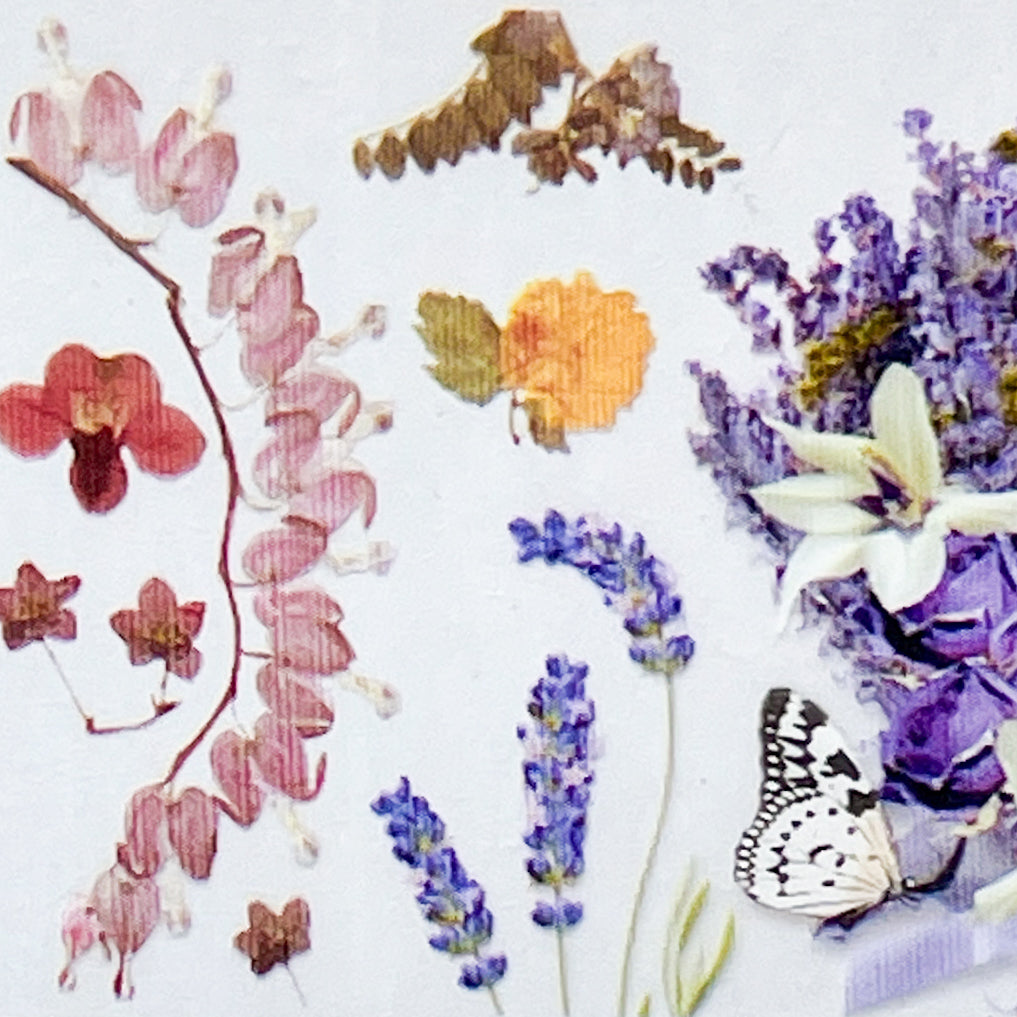 MM - "26-05 Lavender Sachet" -- Nail Transfer Foil
