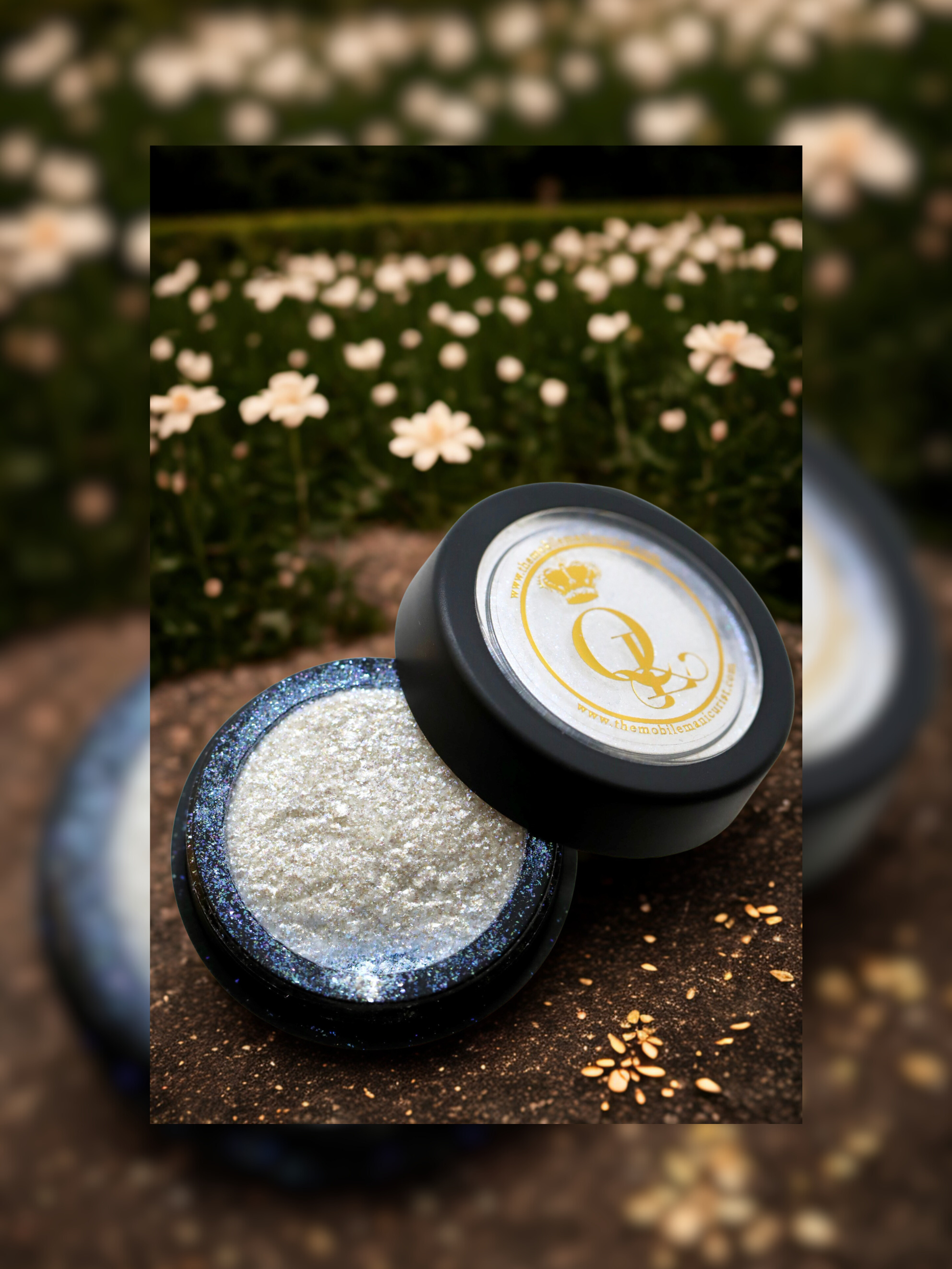 "Something Borrowed" -- Hybrid, Moondust Chrome