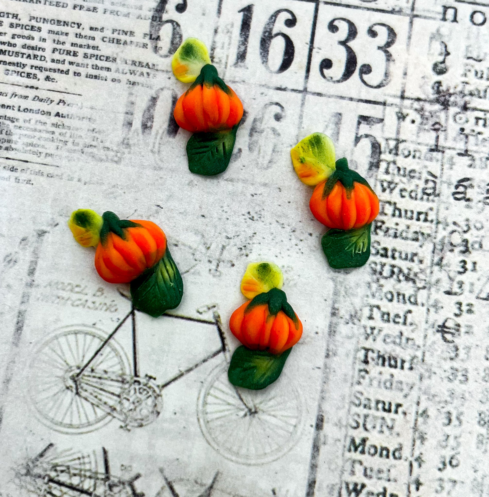 Heirloom Orange Pumpkin - Fall 3D Embellishments