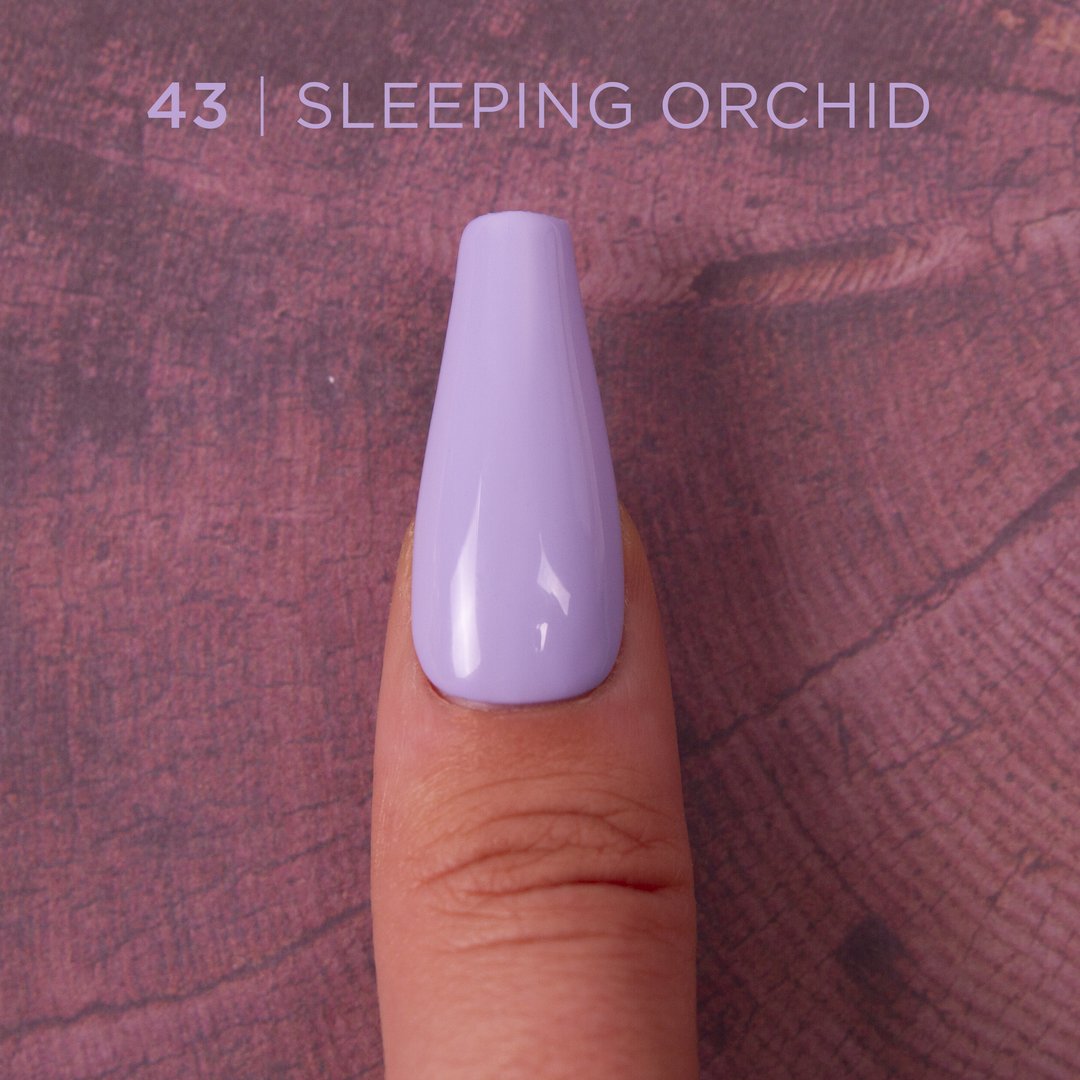 Gotti -- #43 Sleeping Orchid