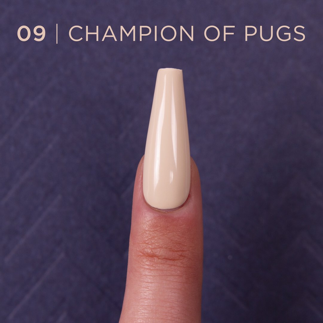 Gotti -- #09 Champion of Pugs